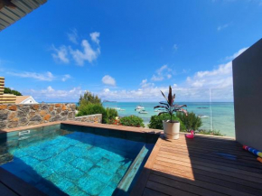 Luxury beachfront villa with private pool - Jolly's Rock